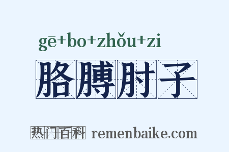 胳膊肘子是什么意思的图片